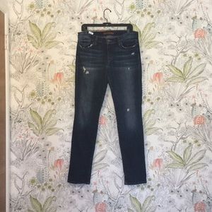 Joes Gerri the skinny jeans